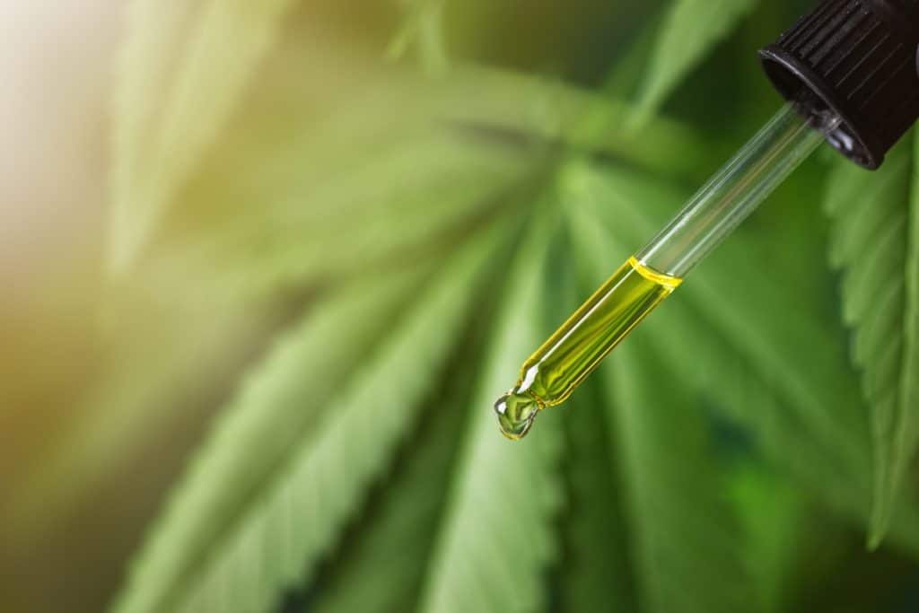 Point sur les produits contenant du cannabidiol (CBD) autorisés en France