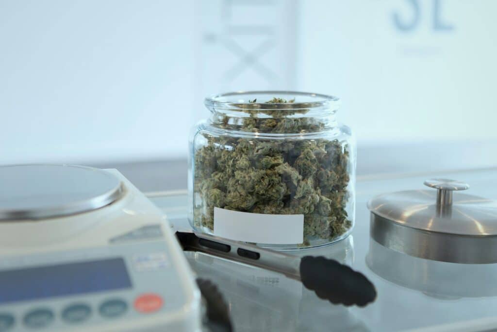 Les graines de cannabis en France : une zone grise aux multiples nuances